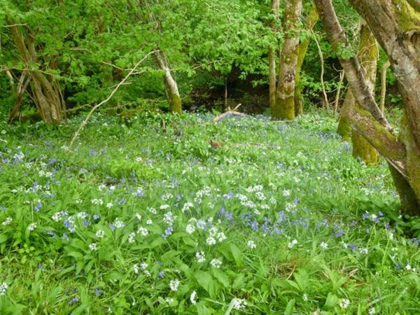 Hendre Aled Farmhouse Llansannan Bagian luar foto